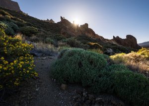 teneriffa teide