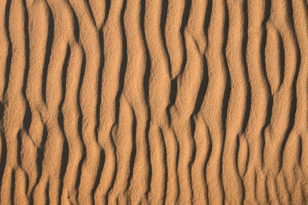 details fotografieren