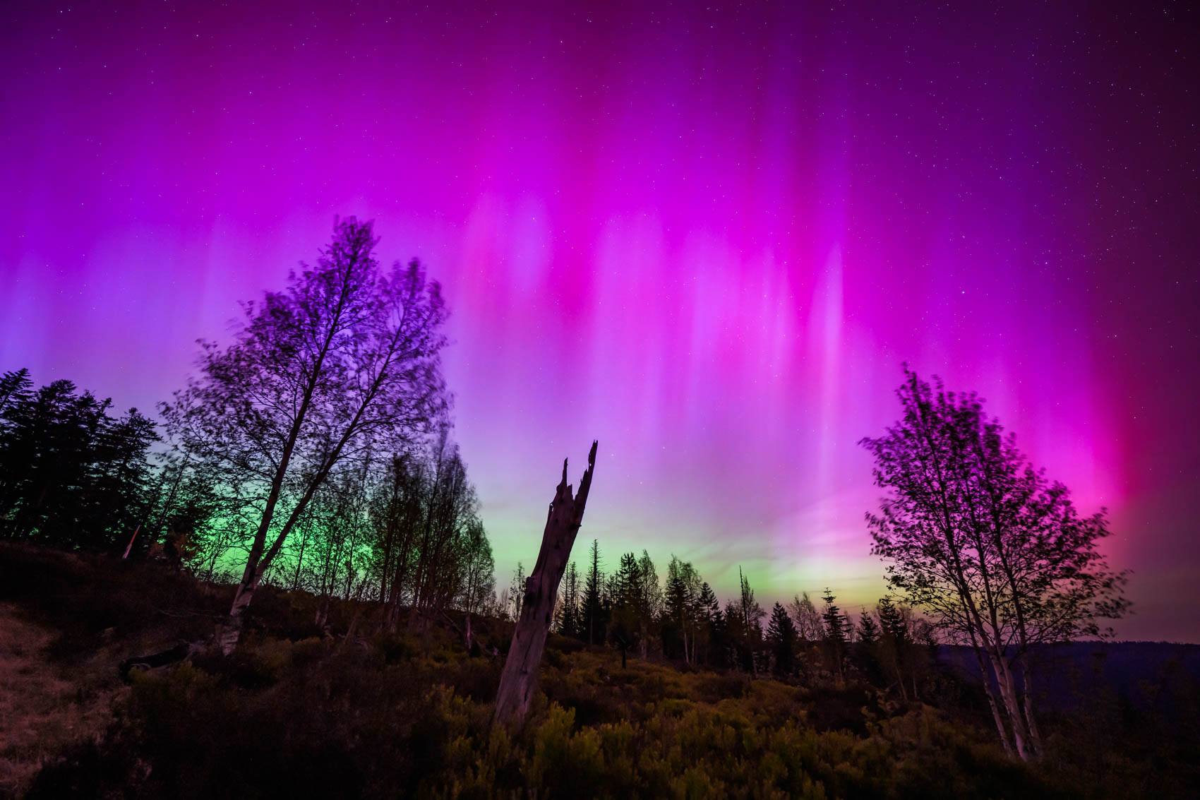 Polarlichter im Schwarzwald