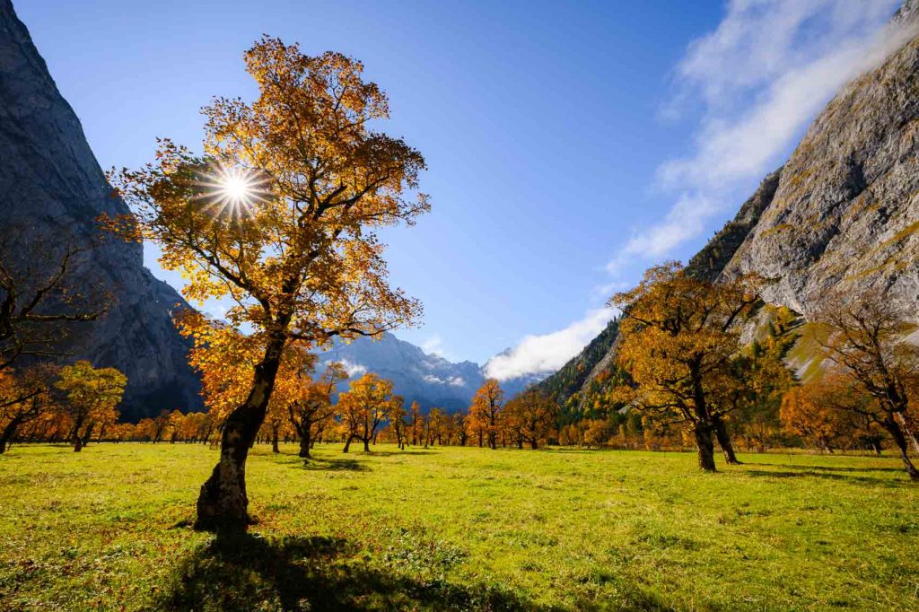 ahornboden fotografieren