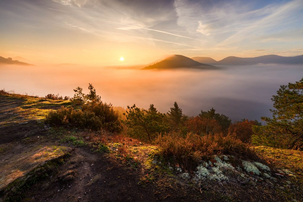 herbst nebel pfälzerwald