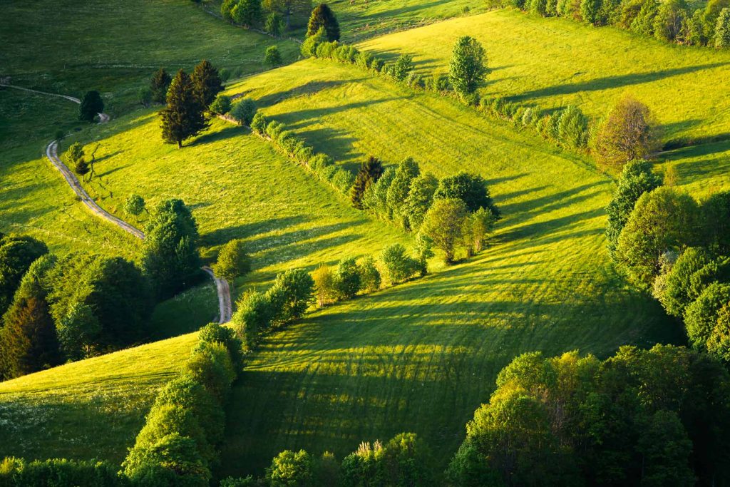 frühling schwarzwald, landschaftsfotografie