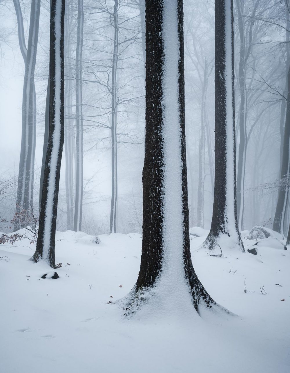 odenwald winter