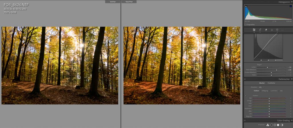 bildbearbeitung herbst