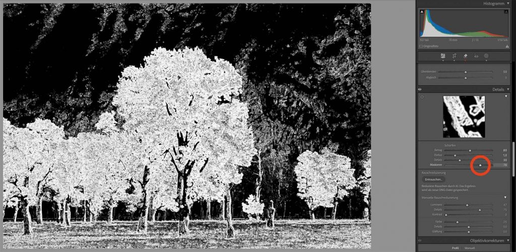 bilder in lightroom maskieren