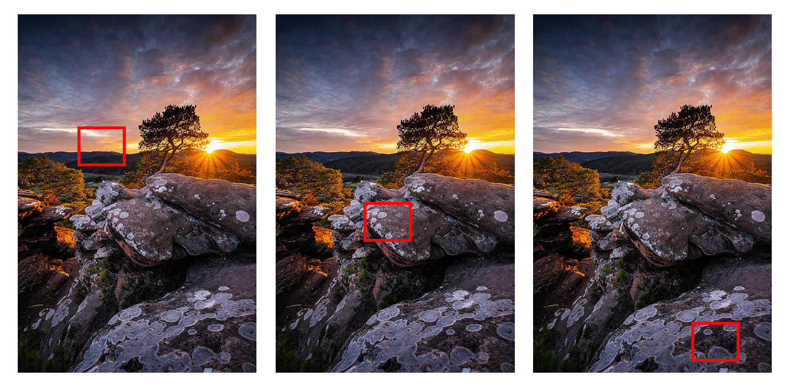 Fokus Stacking - So funktionierts! [Tutorial] - Florian Orth Photography