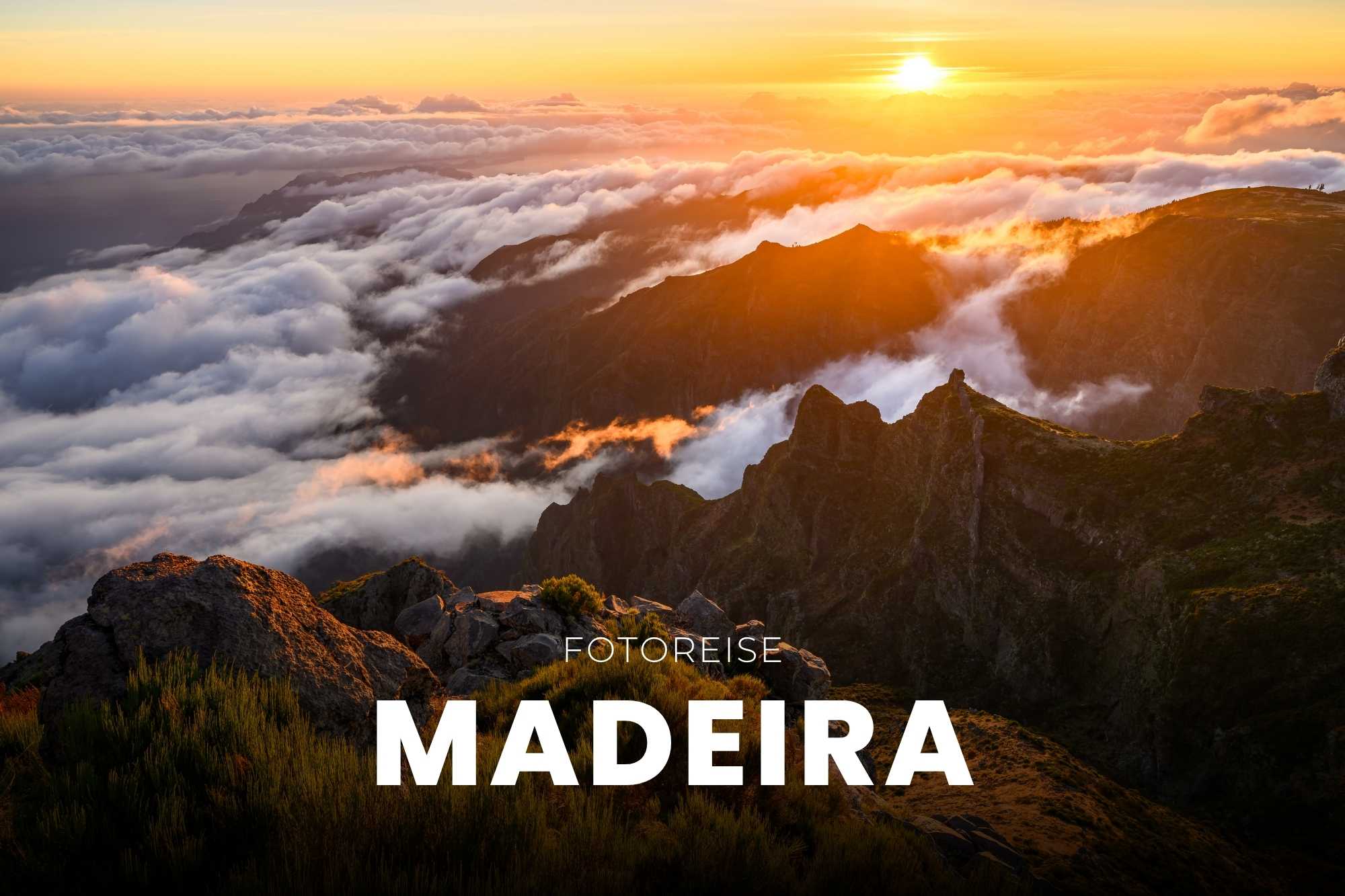 fotoreise madeira, landschaftsfotografie, portugal, funchal, fotoreise