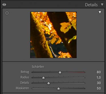 bildbearbeitung lightroom