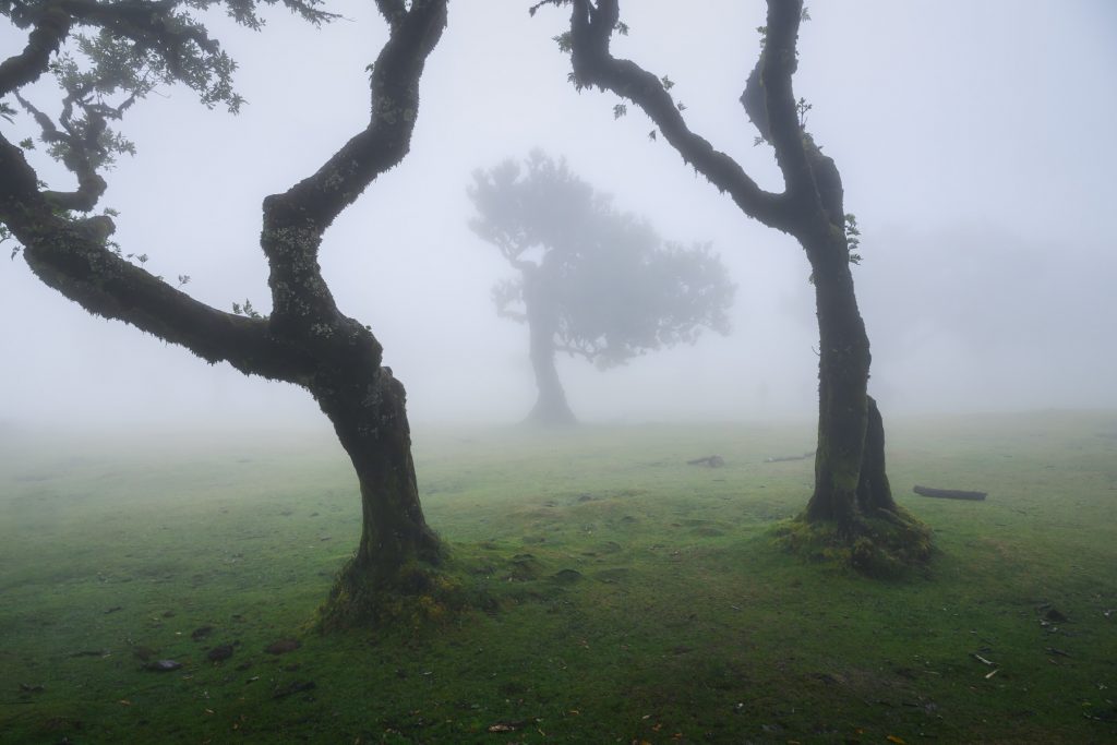 landschaftsfotografie perspektive
