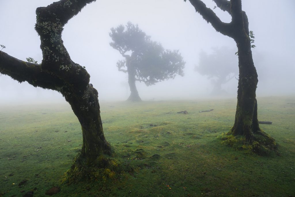 landschaftsfotografie perspektive